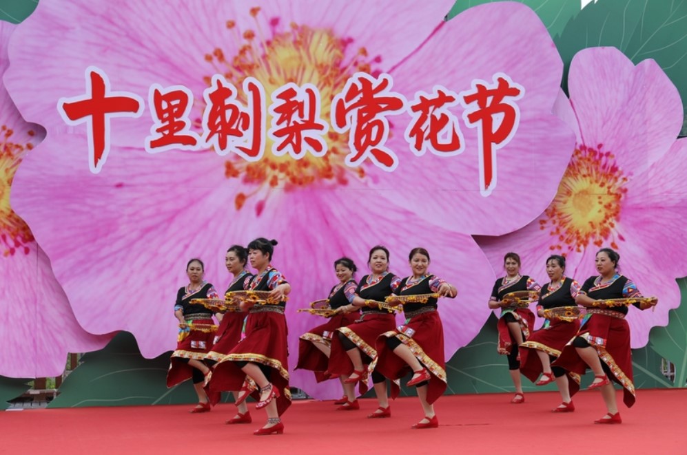 龙里：十里刺梨“赏花节”开幕