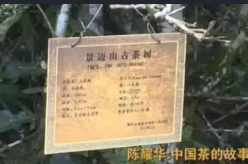 全球首个茶主题世界文化遗产，凭什么是ta